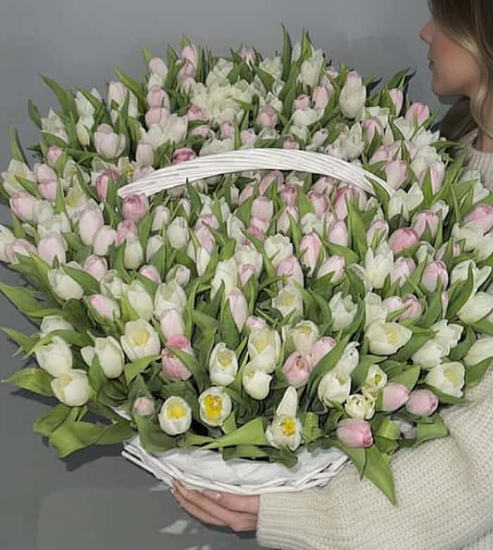 201 White N Pink Tulip Basket