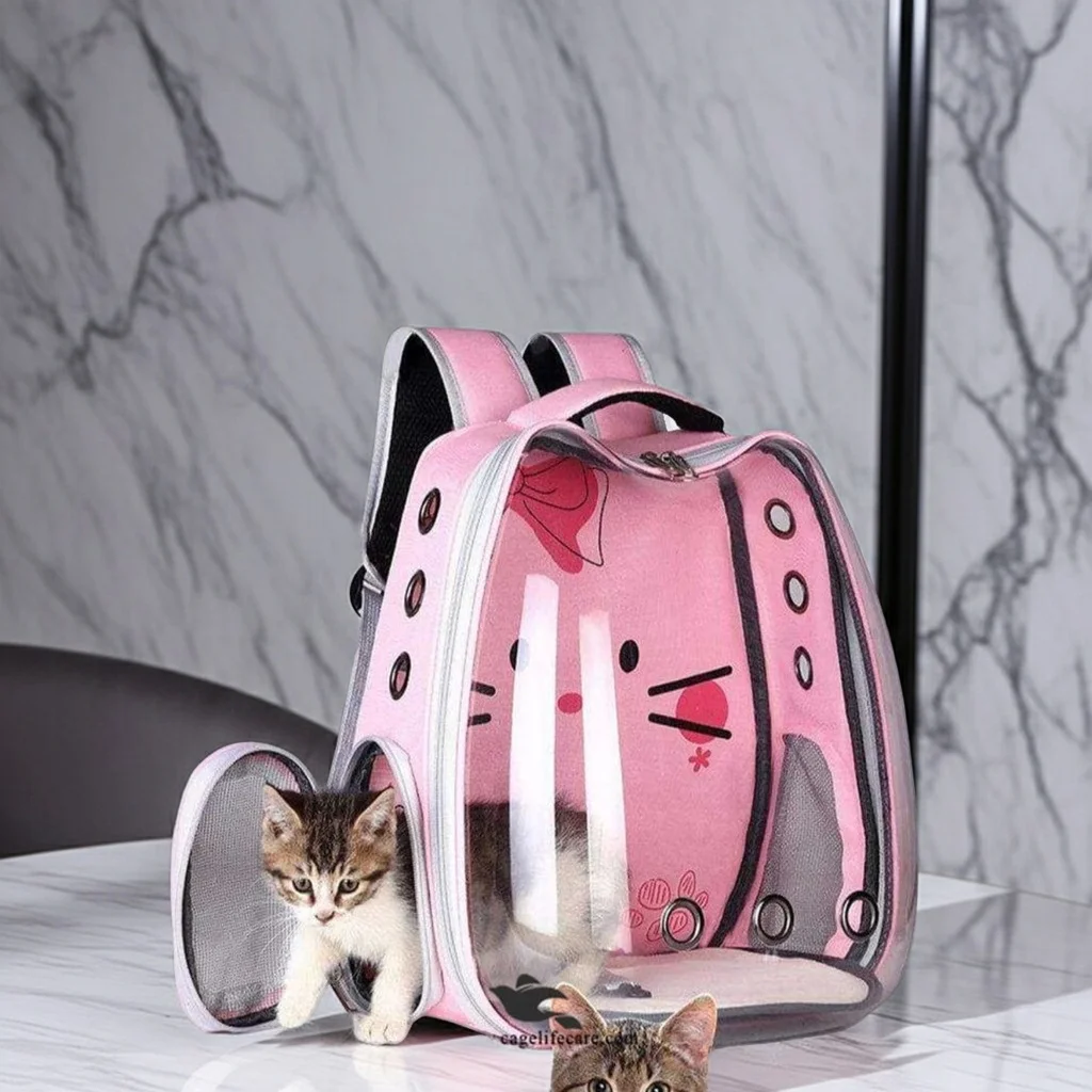 Transparent Cat Backpack Carrier