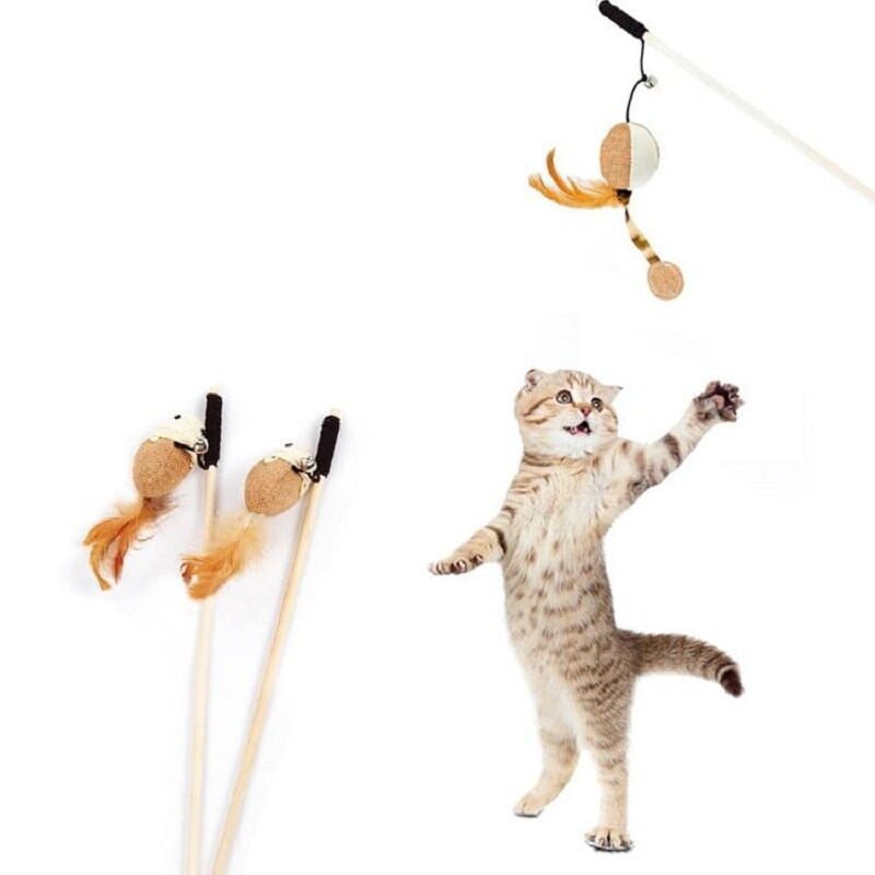 Nunbell Cat Playing Stick