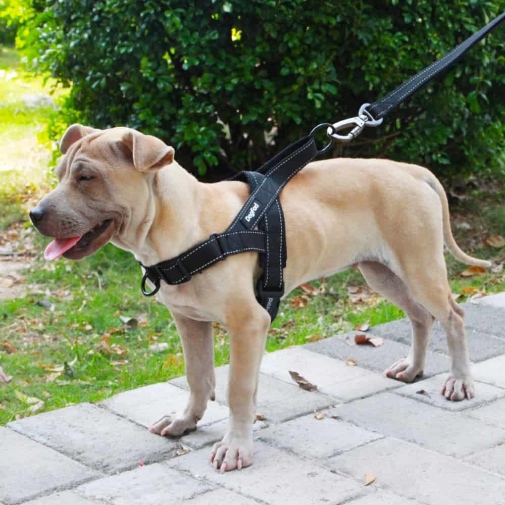 Easy Adjustable Dog Harness