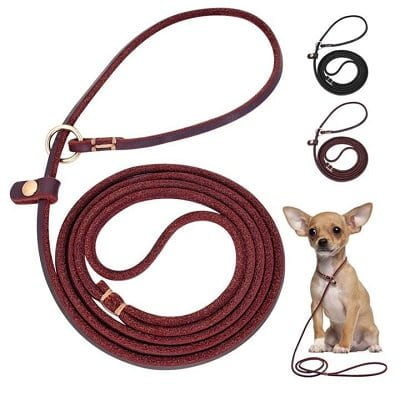Leather Choke Leash Dog