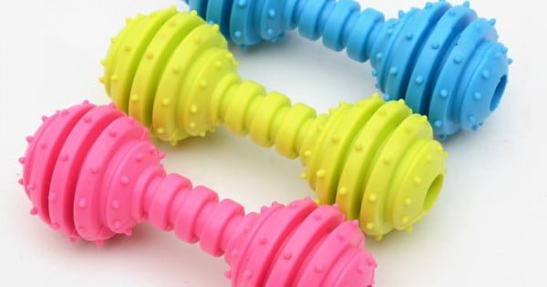 Pet dumbbell Toy Ring Bar ball