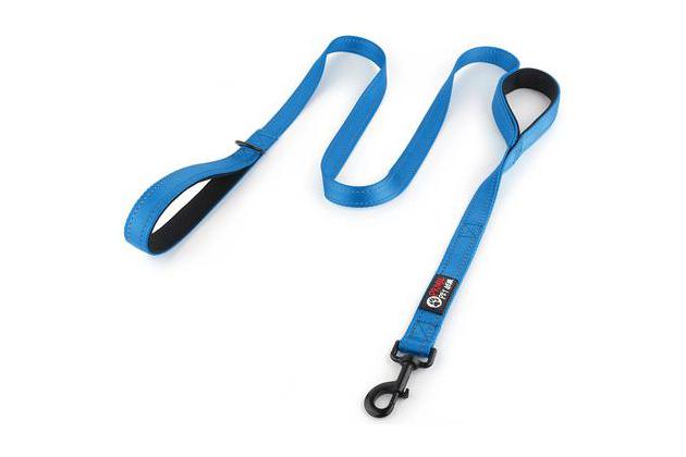 Every Day Nylon Leash Cats Dogs