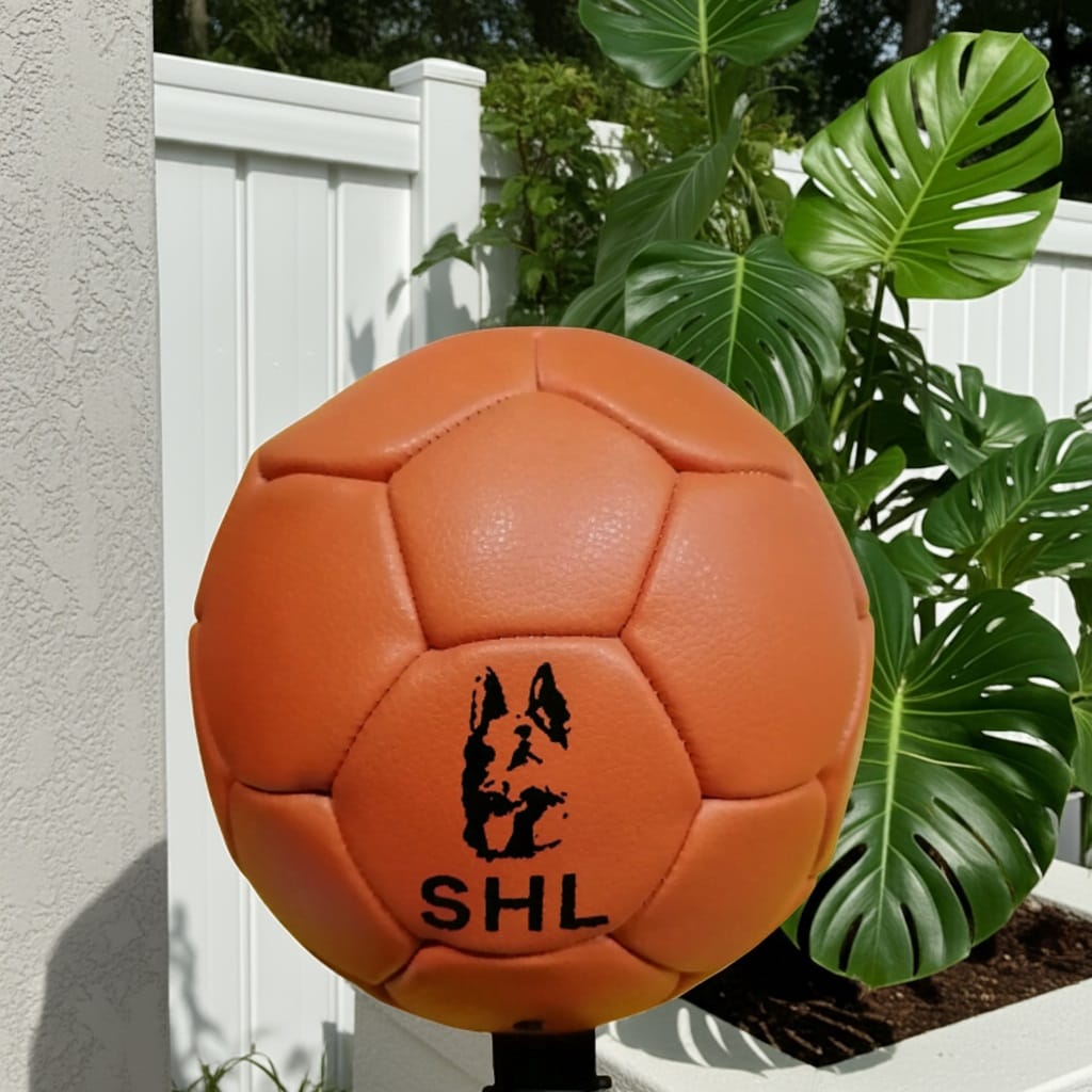 Murphy Dog Foot Ball