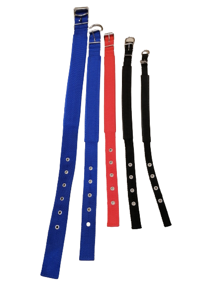 Nylon Dog Collar Medium