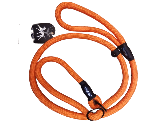 Rope Leash Dogs Auto Adjust