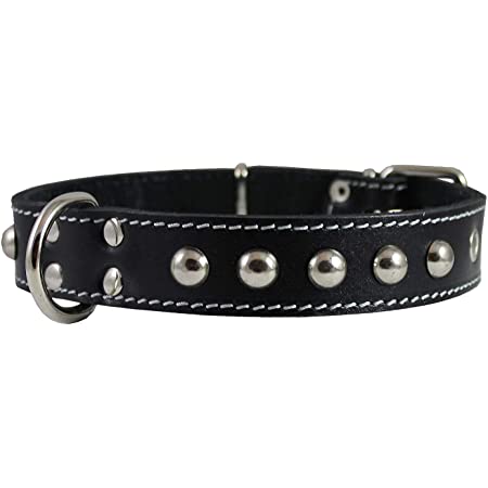 Trixie Leather Studded Collar S-M 19631