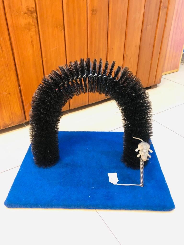 Cat Scratcher with Arch
