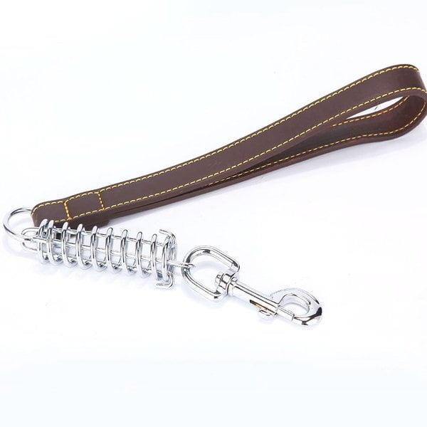 Spring Leash For Dogs